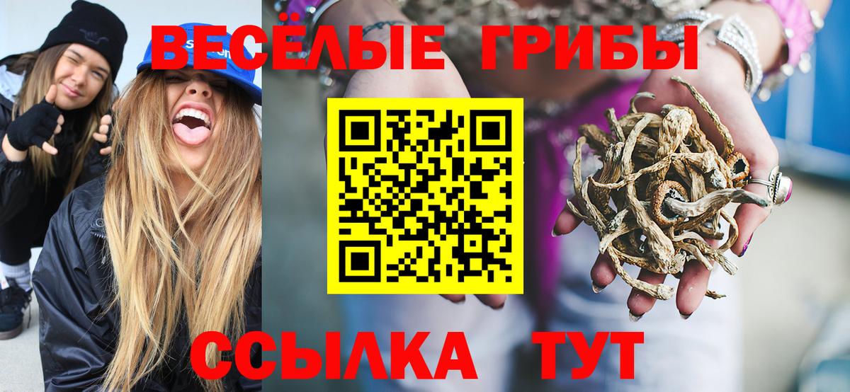 Майкоп  Галлюциногенные грибы GOLDEN TEACHER  Вход с VPN 