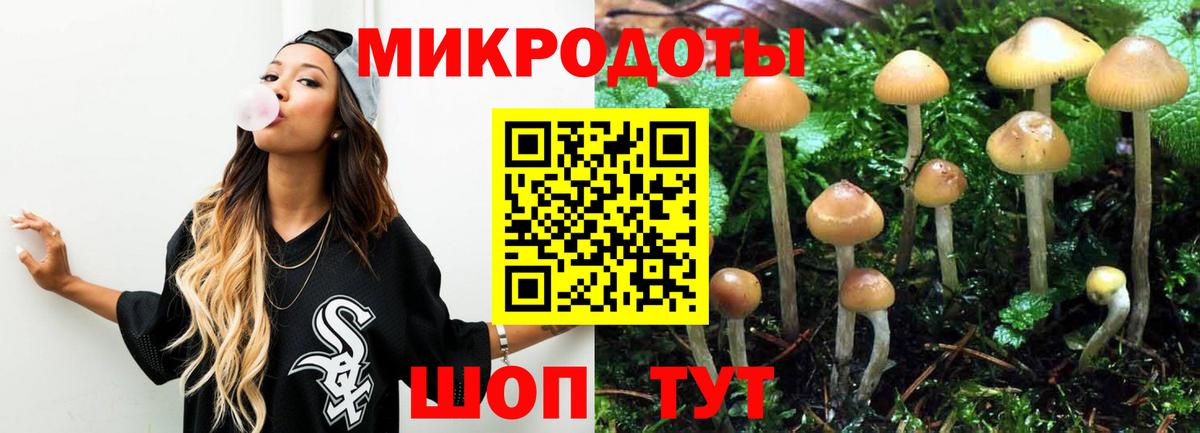 Псилоцибиновые грибы Magic Shrooms Майкоп